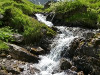 Wasser