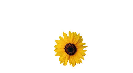 Logo von Landhaus an der Sonne