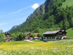 Unser Landhaus in mitten der Löwenzahnblüte