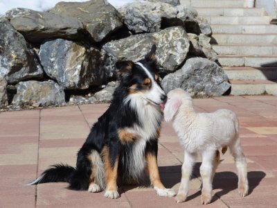 Der Barry und die kleine Lotta