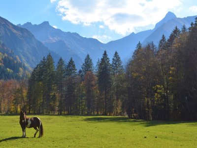 Die Pia genießt noch die letzten warmen Herbsttage