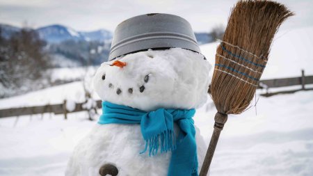 RockyDocky Schneemann