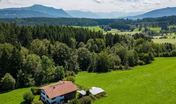 Außenaufnahme Sommer 4