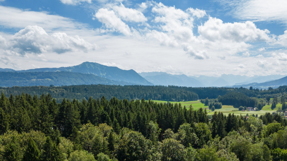Außenaufnahme Sommer pano