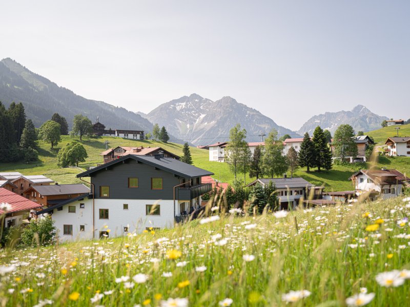 Haus mit Aussicht Widderstein Elfer und Zwölfer