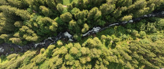 Schwarzwasserbach hinter dem Haus
