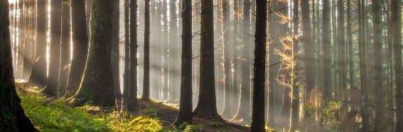 Shutterstock 2160508847