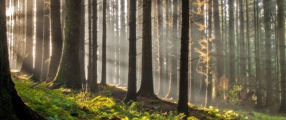 Shutterstock 2160508847