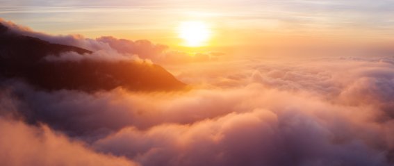 Shutterstock 2268076807