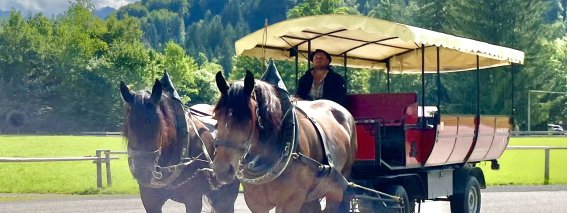 Lohnkutscherei Blattner, Kutschfahrt Oberstdorf