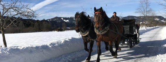 Schlittenfahrt in Oberstdorf