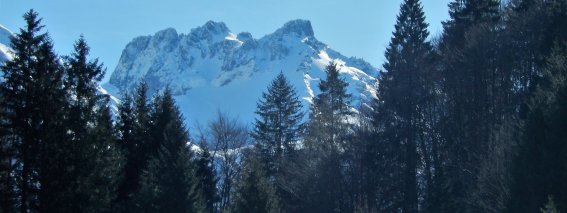 Trettachtal Riefenkopf Kratzer