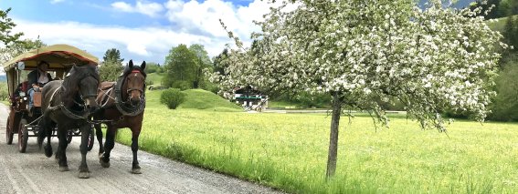 Lohnkutscherei Blattner