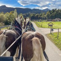 Mensch, Pferd und Natur im Einklang