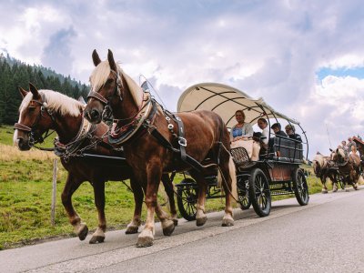 Hochzeit KerstinThorsten TGrosser 20250822 1153