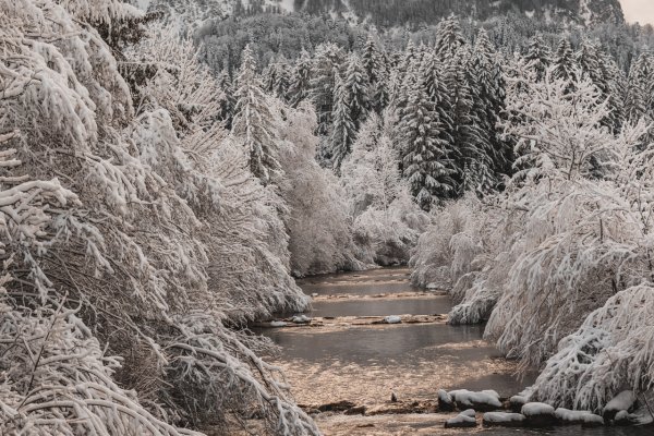 Fluss in traumhafter Winterladschaft