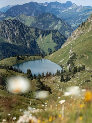 Blick auf den Seealpsee, umringt von der sommerlichen Natur der allgäuer Alpen