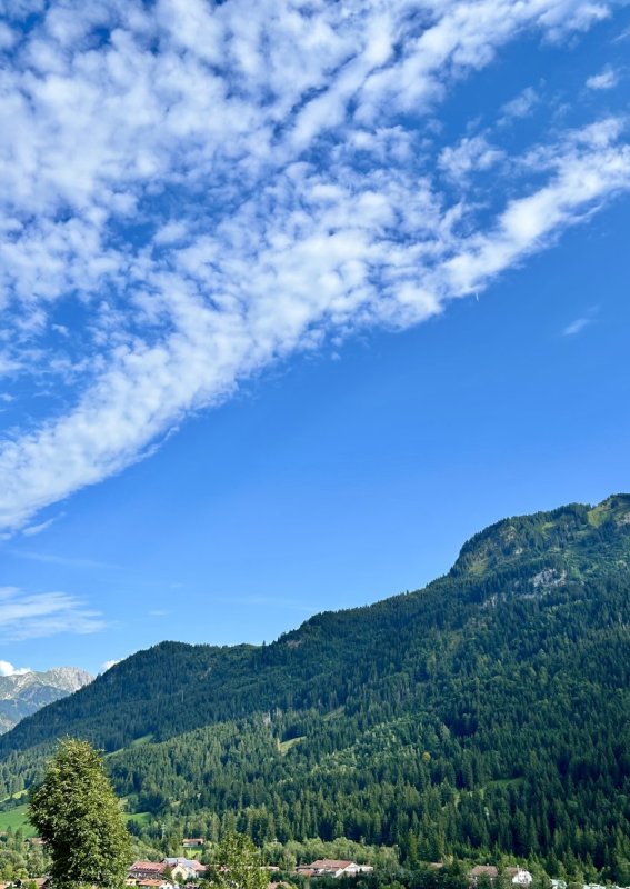 Die Szene zeigt Berge und einen klaren blauen Himmel über einer bewaldeten Landschaft. Es ist ein sonniger Tag in den Bergen.