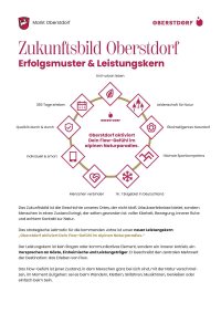 Zukunftsbild Erfolgsmuster und Leistungskern