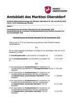 Amtsblatt Nr. 09/2026 vom 06.03.2026 Markt Oberstdorf