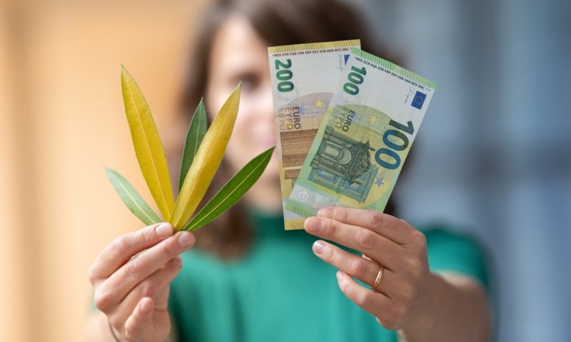 Mit Geld die Welt FAIRaendern C. Gabler