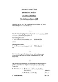 HAUSHALTSSATZUNG 2025