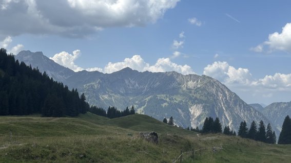 Eine grüne Hügellandschaft mit Bergen im Hintergrund, bewölkter Himmel und frische Luft in den österreichischen Alpen.