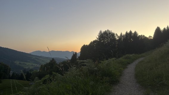 Ein malerischer Wanderweg führt durch die Alpenlandschaft bei Sonnenuntergang, umgeben von Bäumen und Bergen.