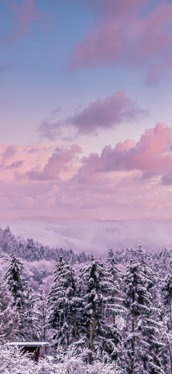 2025 11 Family-Aparts-Bilder4