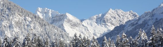 IMG 2532 (2)