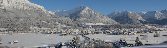 IMG 2597 (3)