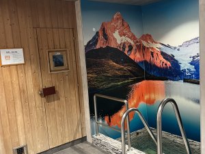 Kältebecken mit BIO-Sauna
