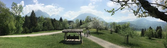 Panorama Sommer Moorweiher