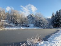 Moorweiher mit dünner Eisschicht