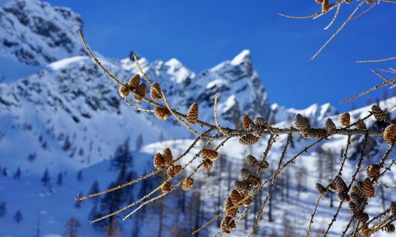 Valle del Lago, Val Maggia, Schweiz