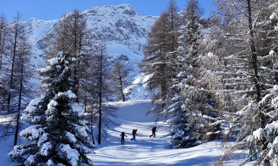 Winter Wunderland, Airolo, Schweiz
