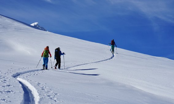 Aufsteig zum Pizzo Sasselo, 2.479 m,  Airolo, Schweiz