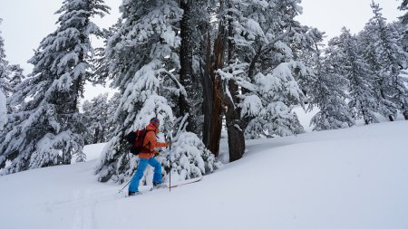 Skitour auf Dautov, 2.597 м, Pirin Gebirge, Bulgarien