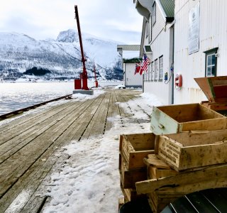 Insel Uløya, Hamnnes Fischereifabrik, Skitoueren Lyngen Alps