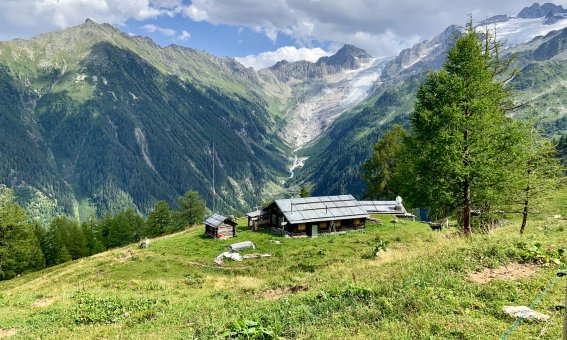 herliche Wanderung Almhuetten, blumenwiesen