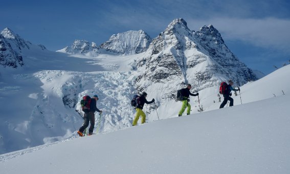 Skitouren Kanada Burnie Glacier