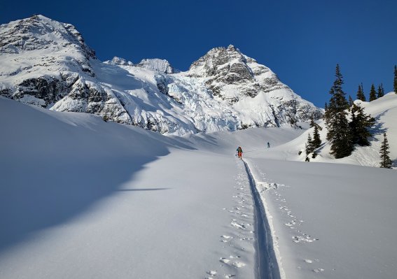 Skitouren Kanada Burnie Glacier