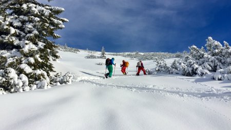 skitourengruppe im aufstieg, allgäuer alpen, skitourenkurs