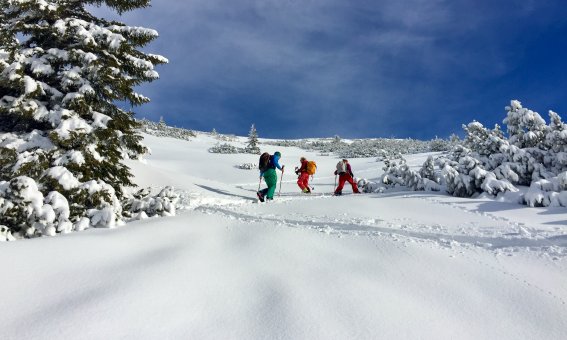 skitourengruppe im aufstieg, allgäuer alpen, skitourenkurs