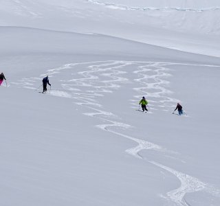 skispuren, pulverschnee, 4 skifahrer