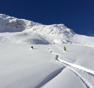 skispuren im Tiefschnee, mehrere skifahrer