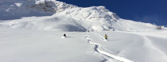 skispuren im Tiefschnee, mehrere skifahrer