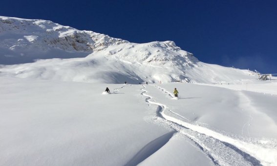 skispuren im Tiefschnee, mehrere skifahrer