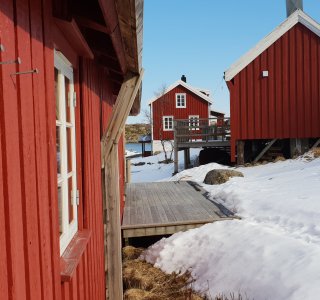 Svinøya Rorbuer in Svolvær