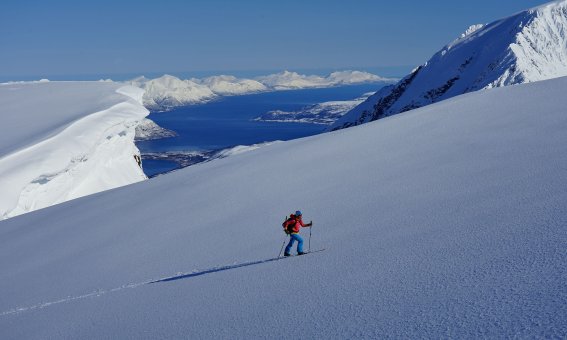 Jiehkkevarri, schneefläche, skitourengeher, fjord, berge